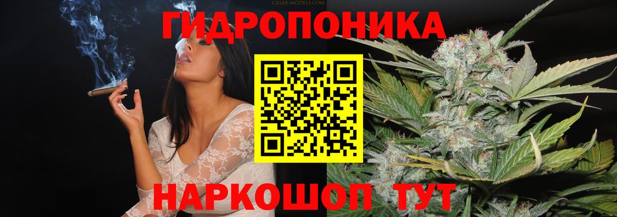 Марихуана White Widow Вятские Поляны